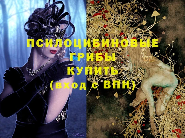 бошки Кинешма