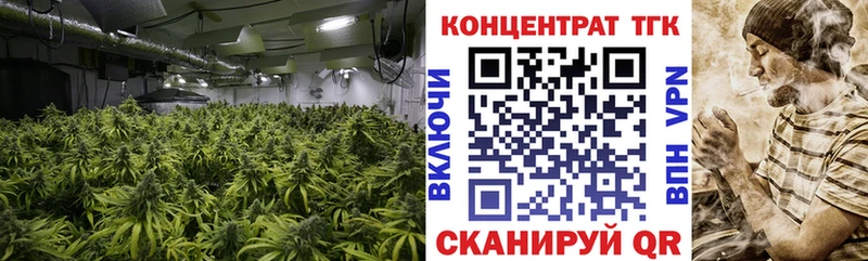 Дистиллят ТГК гашишное масло  Купить  Черноголовка 