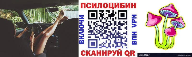 Галлюциногенные грибы Cubensis  Купить где  Черноголовка 