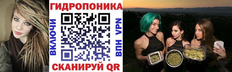 Купить закладки  Черноголовка  Канабис AK-47 